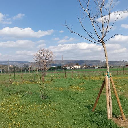 Agricampeggio Oro Verde Verona Esterno foto